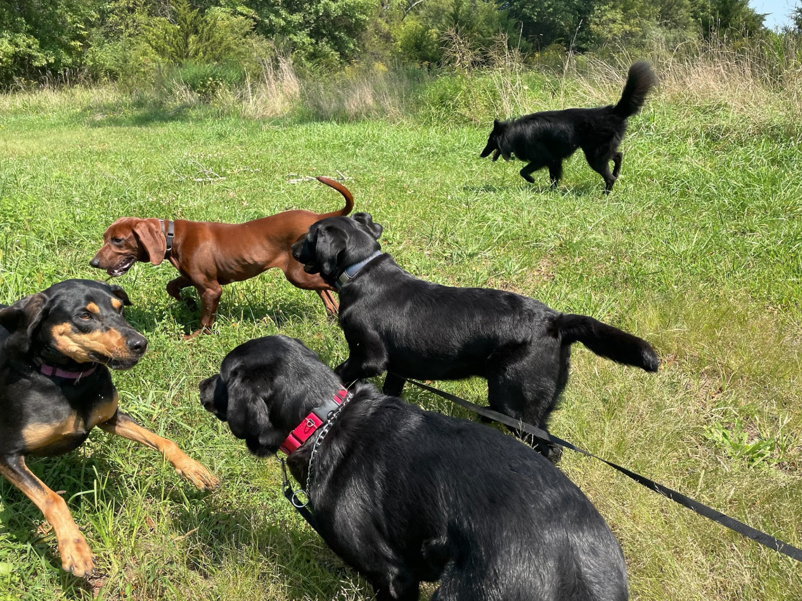 Screen Shot 2026-02-17 at 6.47.17 PM.png