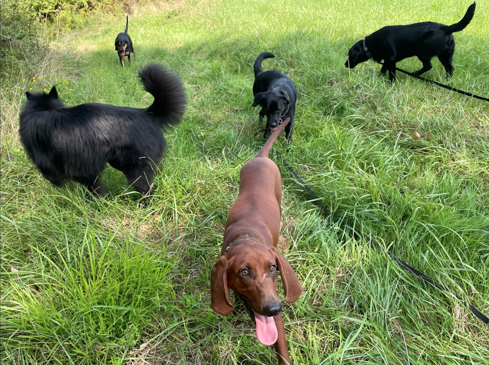 Screen Shot 2026-02-17 at 6.47.30 PM.png