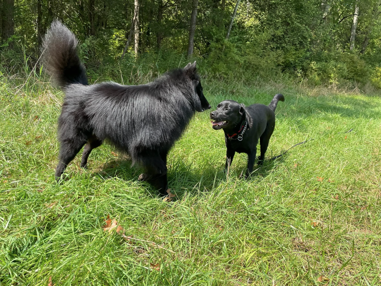 Screen Shot 2026-02-17 at 6.47.42 PM.png