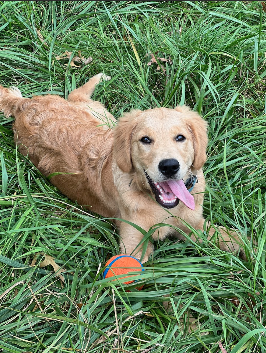 Screen Shot 2026-02-17 at 6.48.02 PM.png