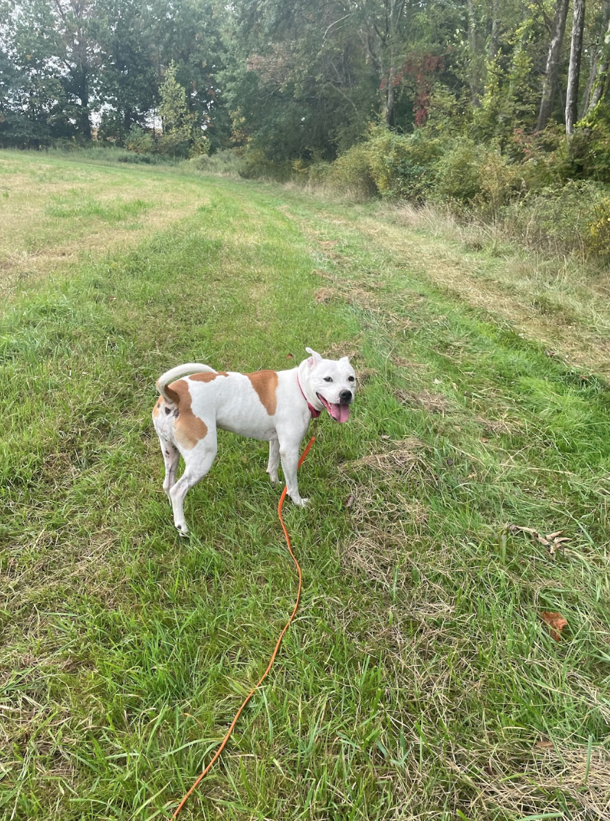 Screen Shot 2026-02-17 at 6.48.13 PM.png