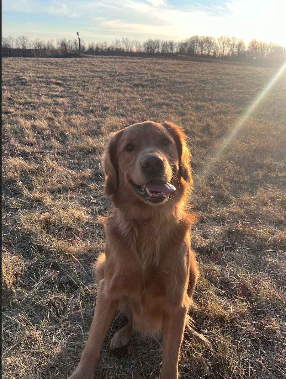 Screen Shot 2026-02-17 at 6.48.40 PM.png