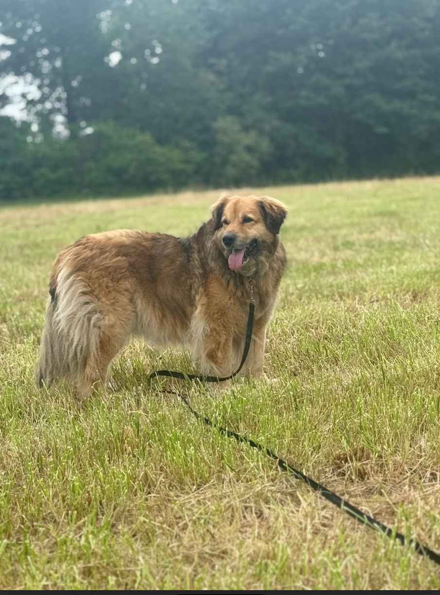 Screen Shot 2026-02-17 at 6.48.52 PM.png