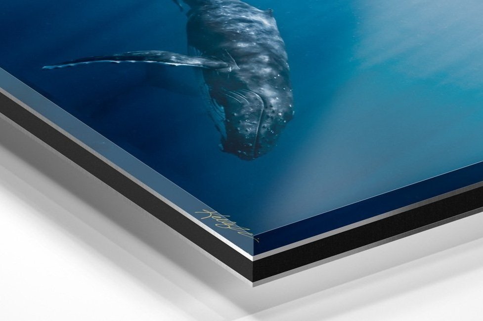 Alu-DIbond%2Bwith%2BAcrylic%2BGlass%2B2mm%2B%2528MC2%2529.jpg