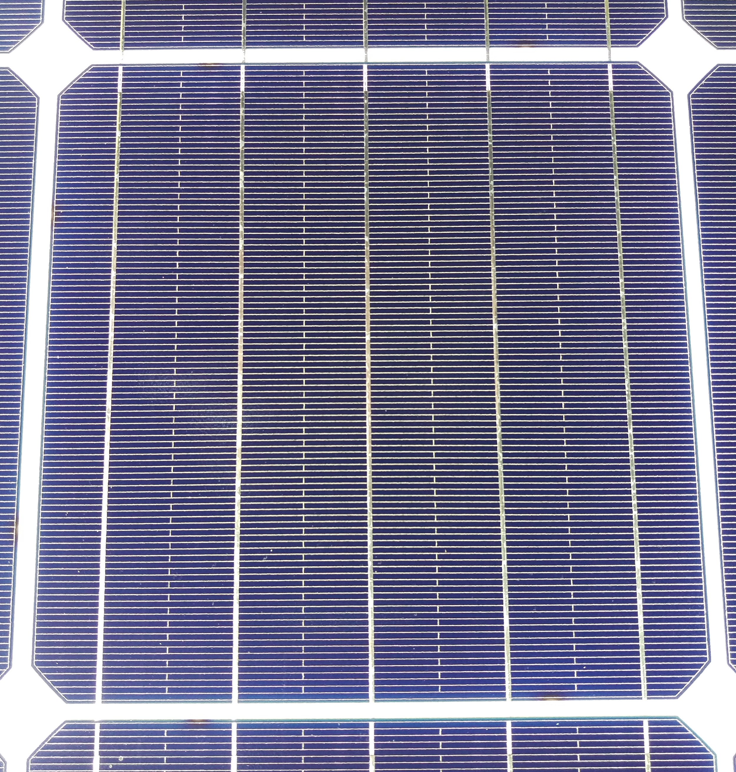一个典型的单晶太阳能电池，有5条母线