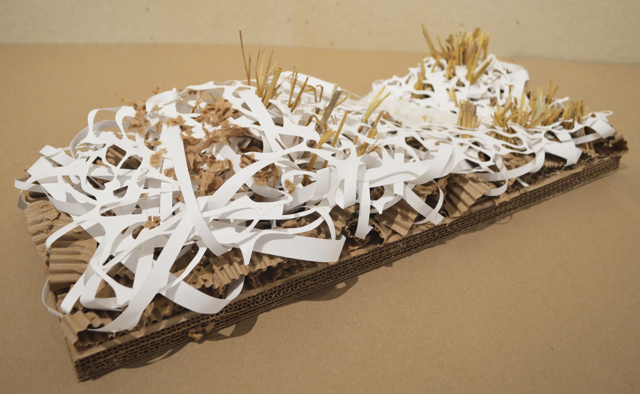 Recycled cardboard, plotter paper scraps, hot glue, reeds, misc. twigs.