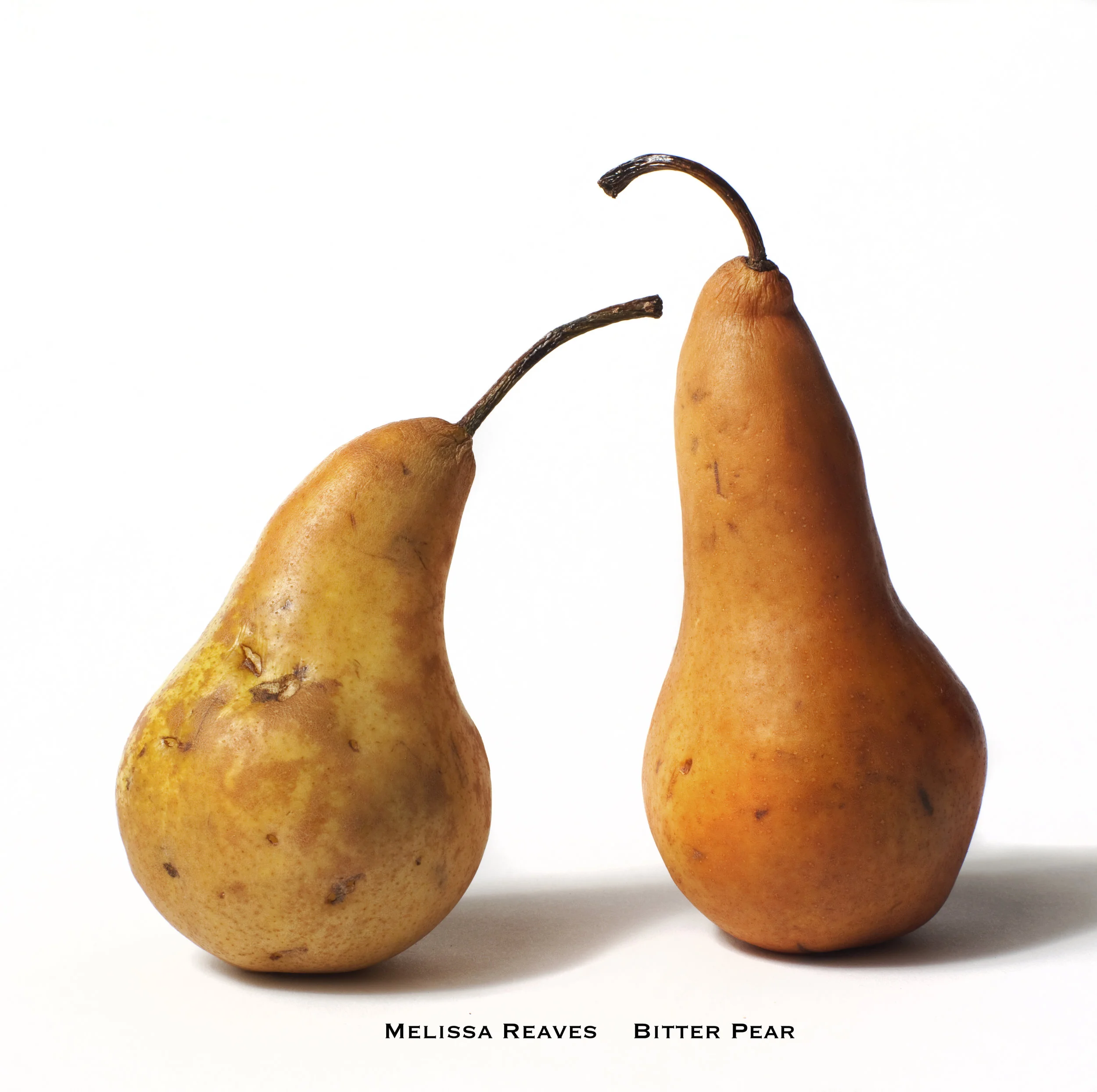 Bitter Pear Cover.jpg
