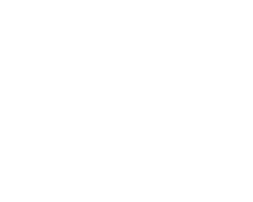 EAC_icons_estimates_w.png