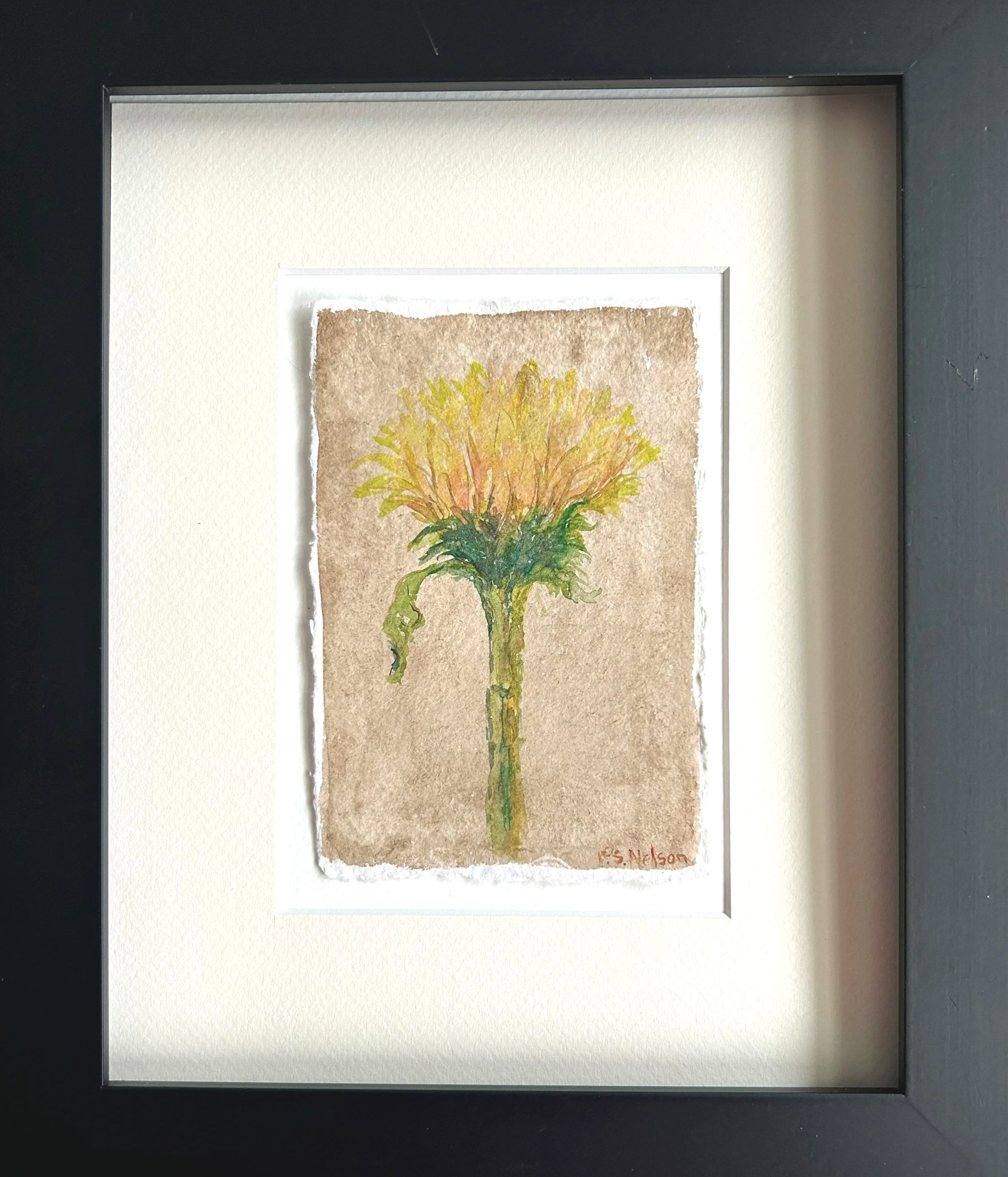 Sunflower+1.jpg