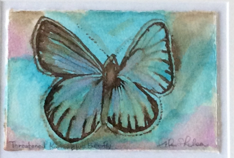 Fading, Threatened, Karner Blue Butterfly.JPG
