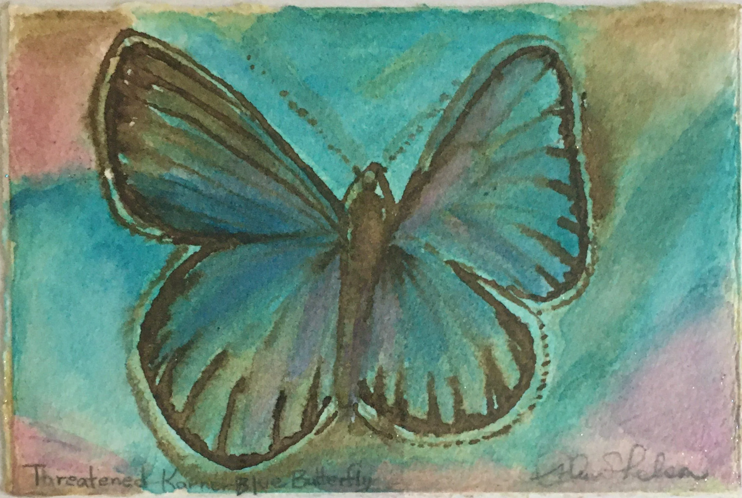 Karner's Blue Butterfly.JPG