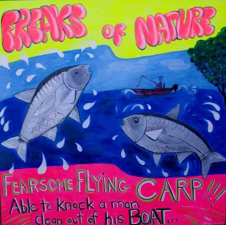 3 Flying Carp300.jpg