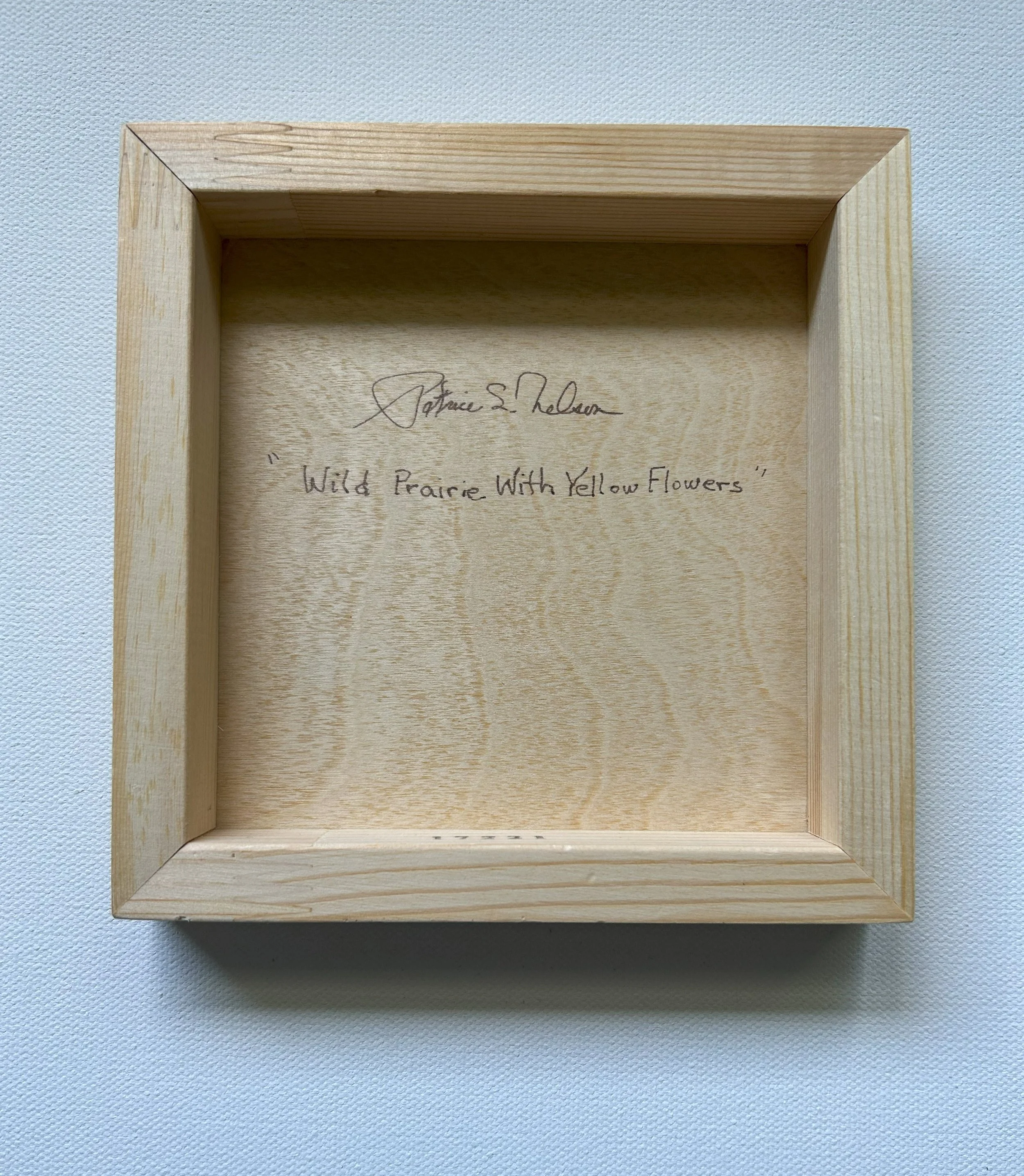 pic11.jpg