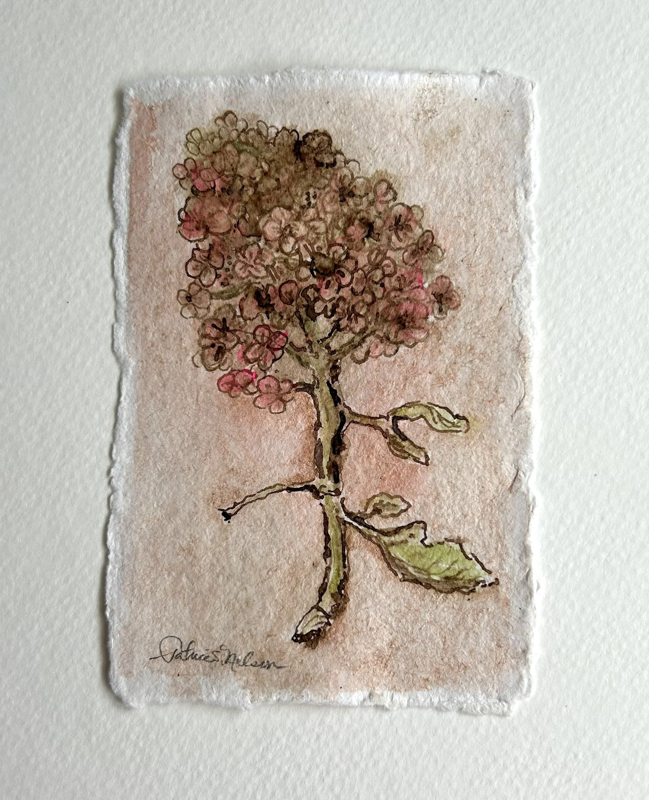H pink 1 leaf.jpg