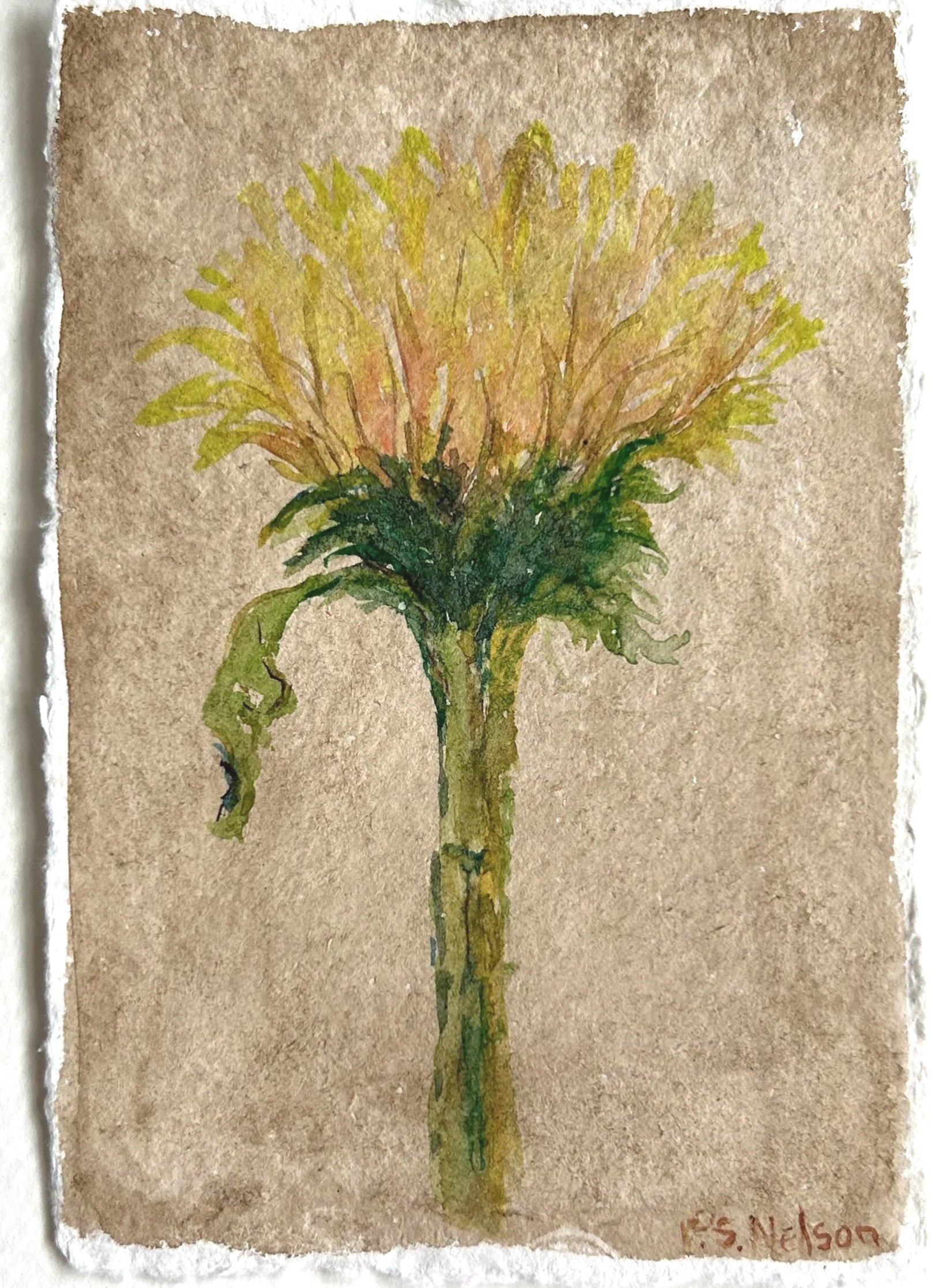 Sunflower+a.jpg