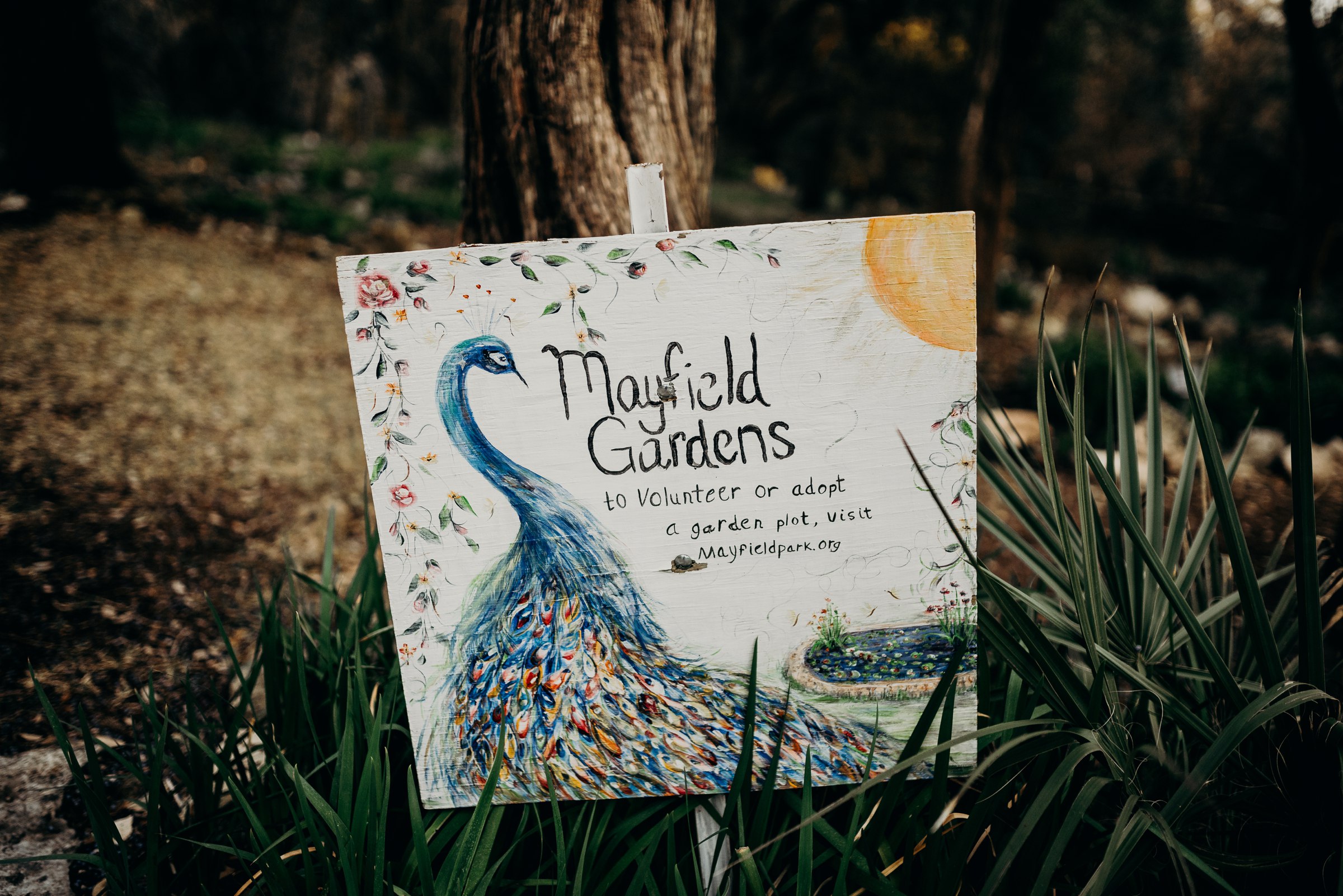 drew-andrew-texas-austin-minnesota-minneapolis-wedding-photographer-destination-elopement-intimate-adventurous_0125.jpg