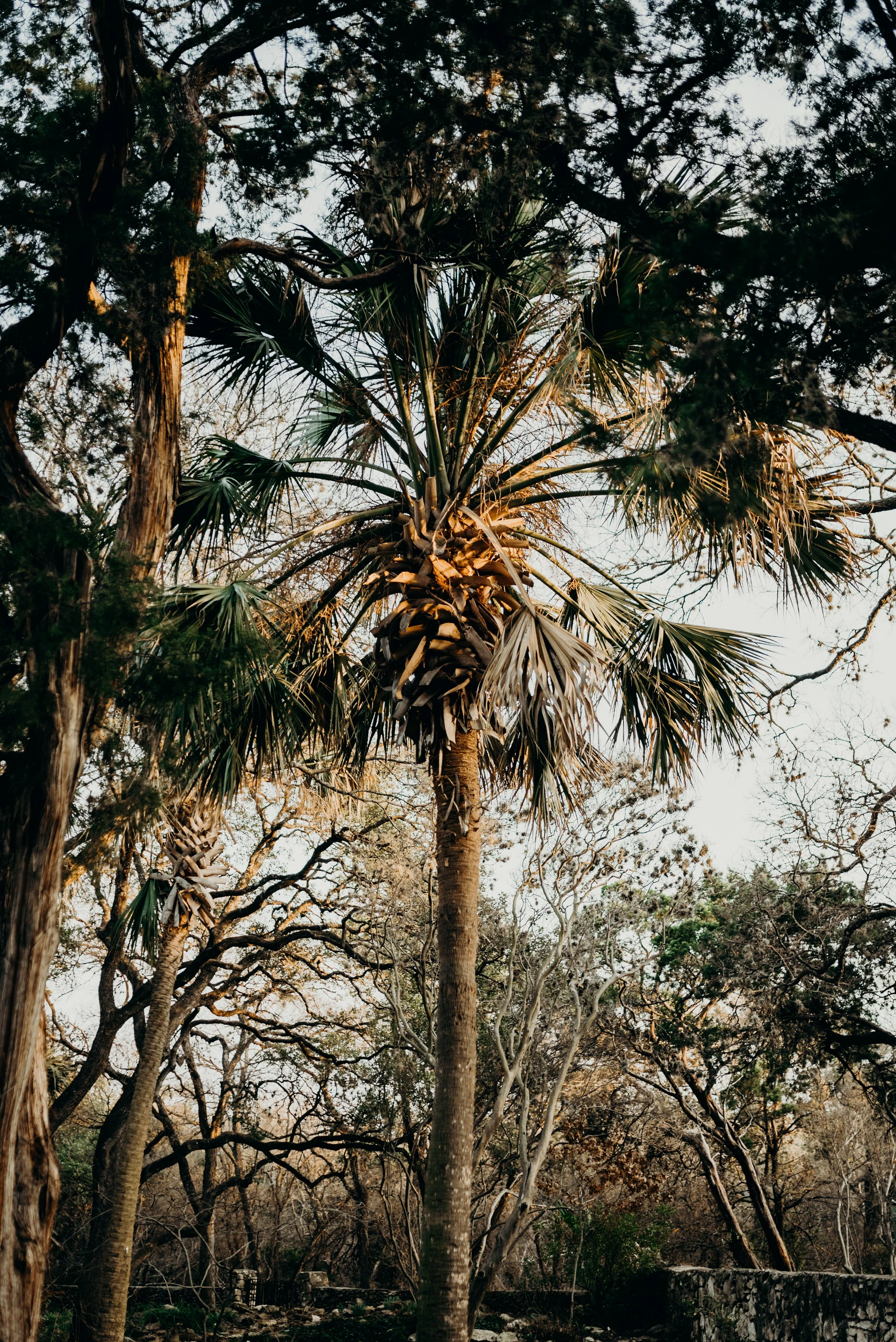 drew-andrew-texas-austin-minnesota-minneapolis-wedding-photographer-destination-elopement-intimate-adventurous_0139.jpg