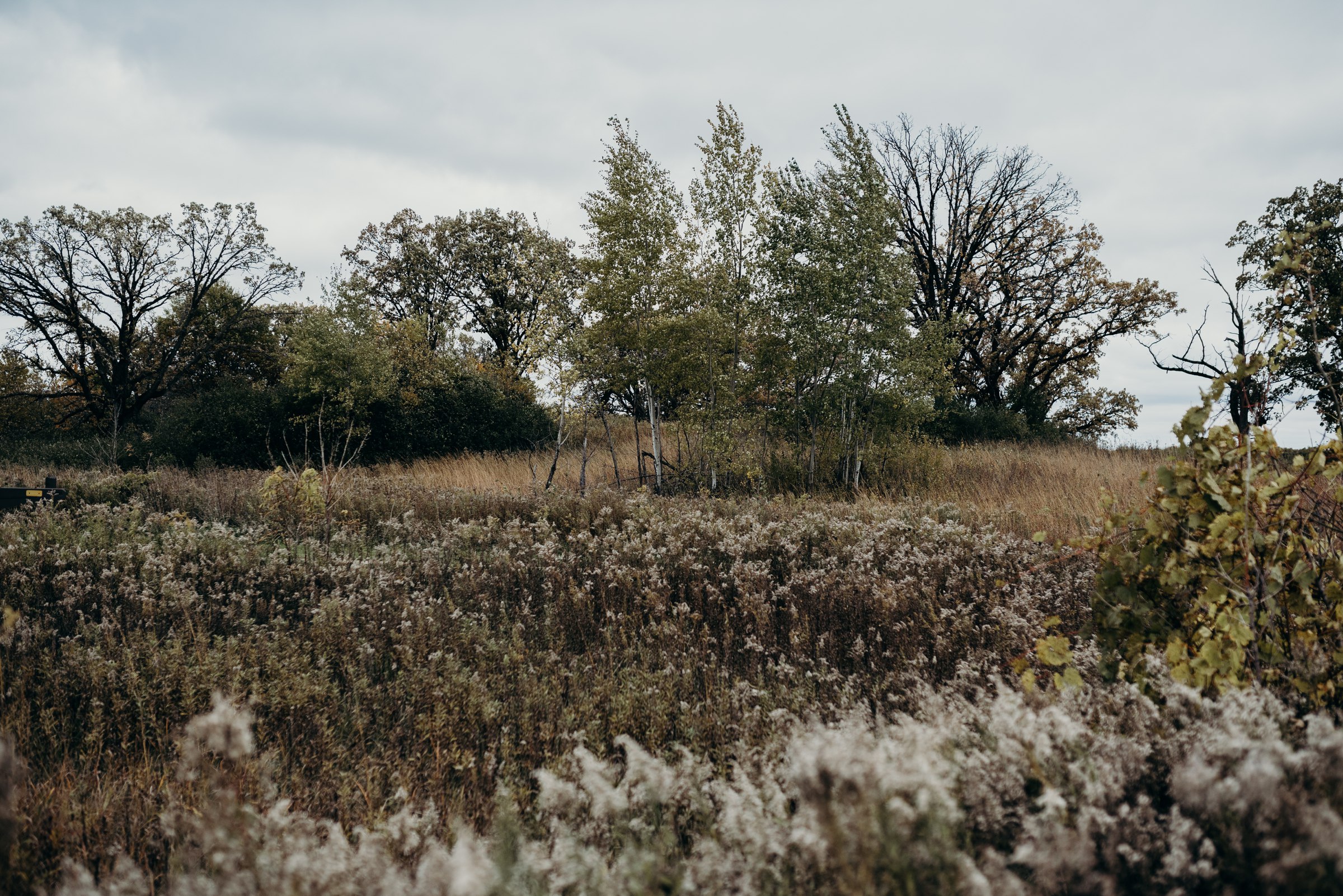 nickmezaphotography-austin-minneapolis-wedding-photographer-elopement-best-intimate-adventurous-destination-texas-minnesota-engagement-jess-dan-spacesaver_0156.jpg