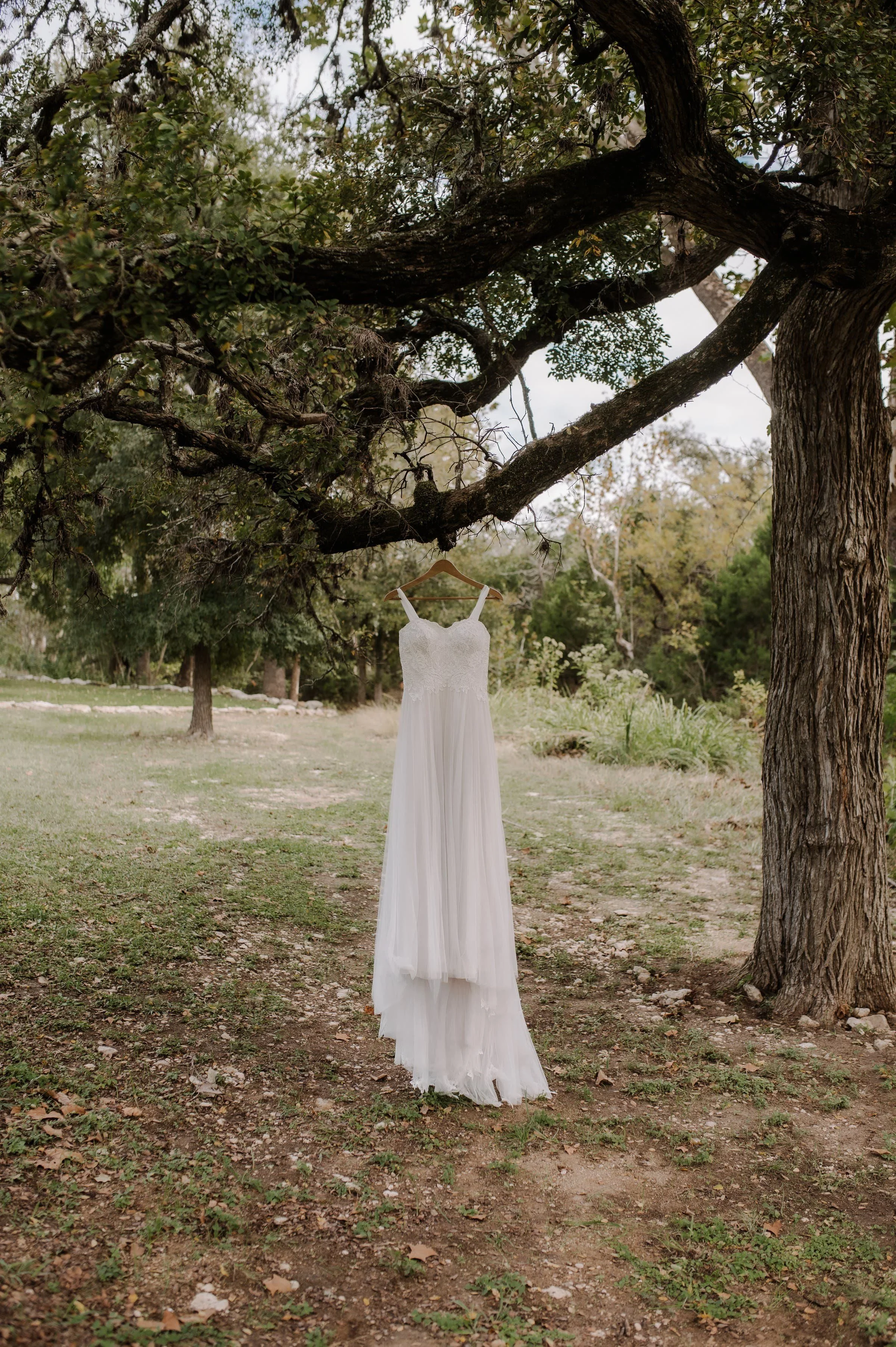 1 - austin-elopement-photographer-wedding_0300.jpg