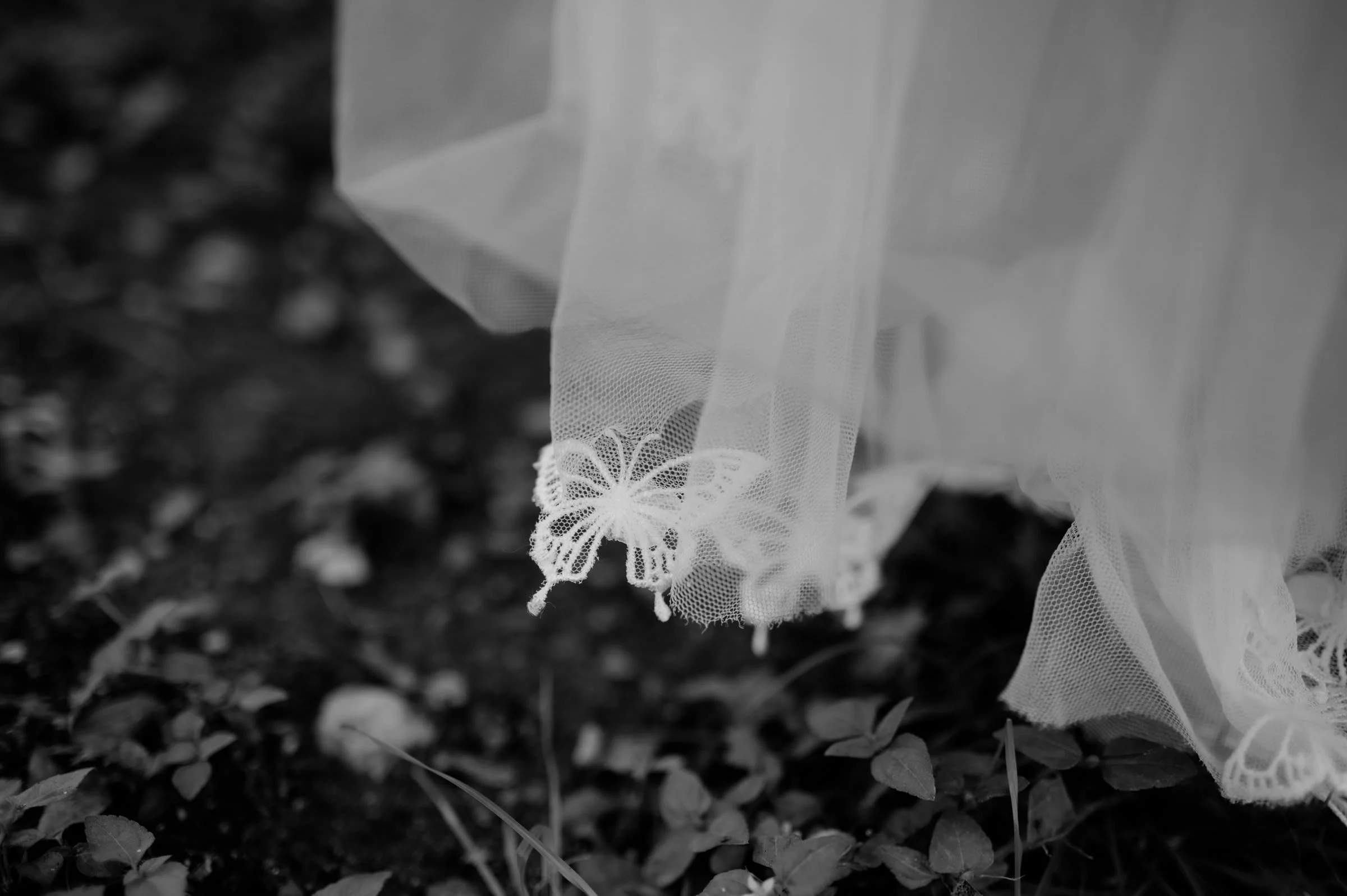 3 - austin-elopement-photographer-wedding_0301.jpg
