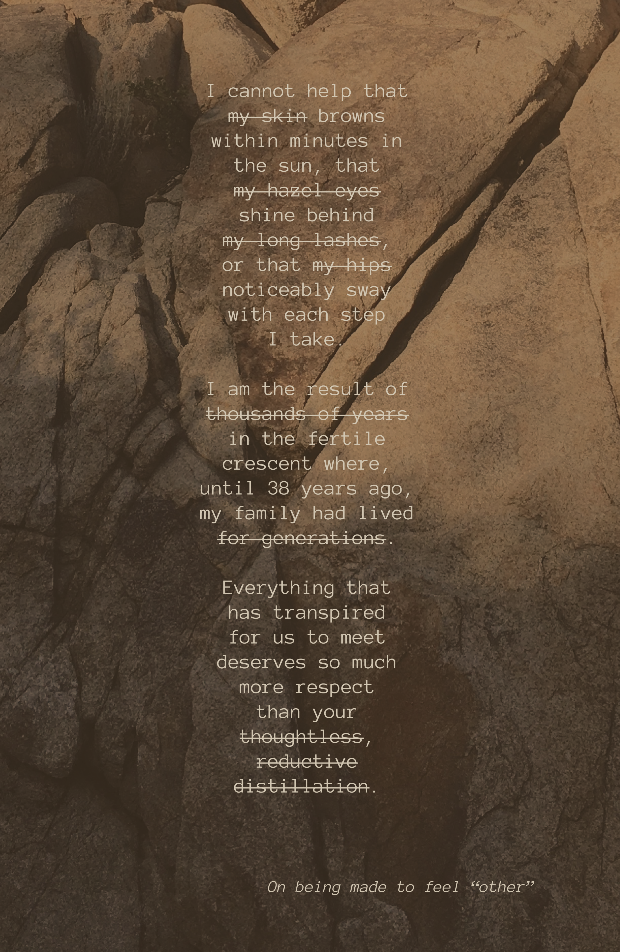 This poster features an excerpt from an essay I wrote after someone compared me to the Disney character Princess Jasmine from Aladdin. I used a strikethrough on the words I most wanted to emphasize, similar to Glenn Ligon’s paintings of text. By partially obscuring the most important words, the viewer inadvertently pays the most attention to those words.