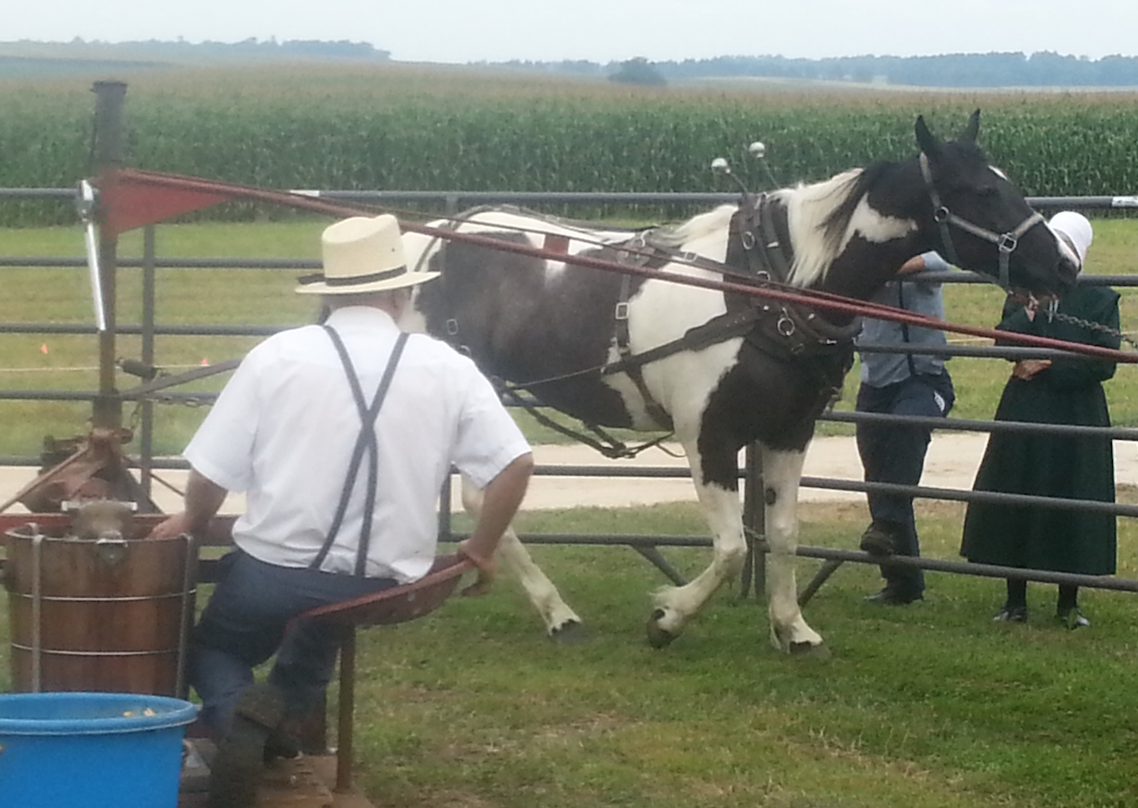 Horse drawn ice cream churn