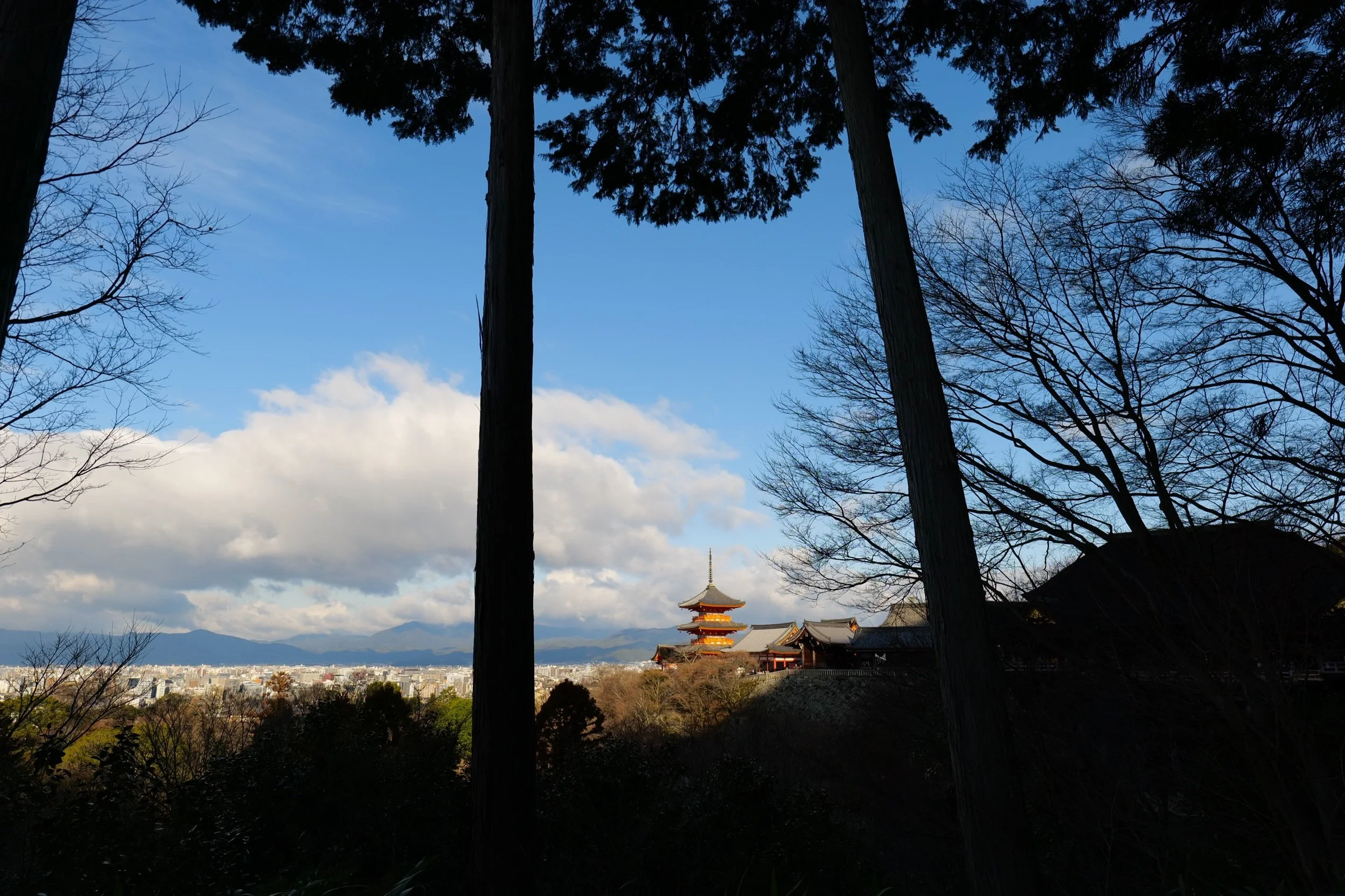 LumixSync_copy_2023-02-20 22:12:23 +0000JpegFile.jpeg