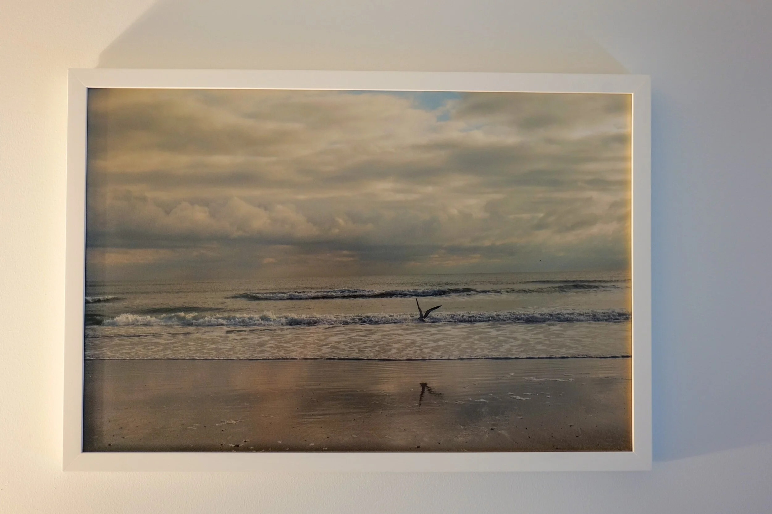 15219F7B-7D24-47B0-A511-782C9C9399A6