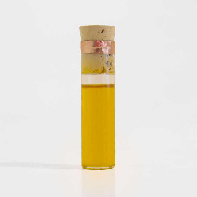 Feel__0001_Layer Comp 2.jpg