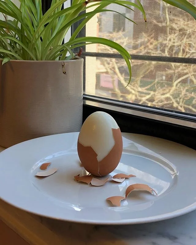 Praise be to the Almighty Egg.