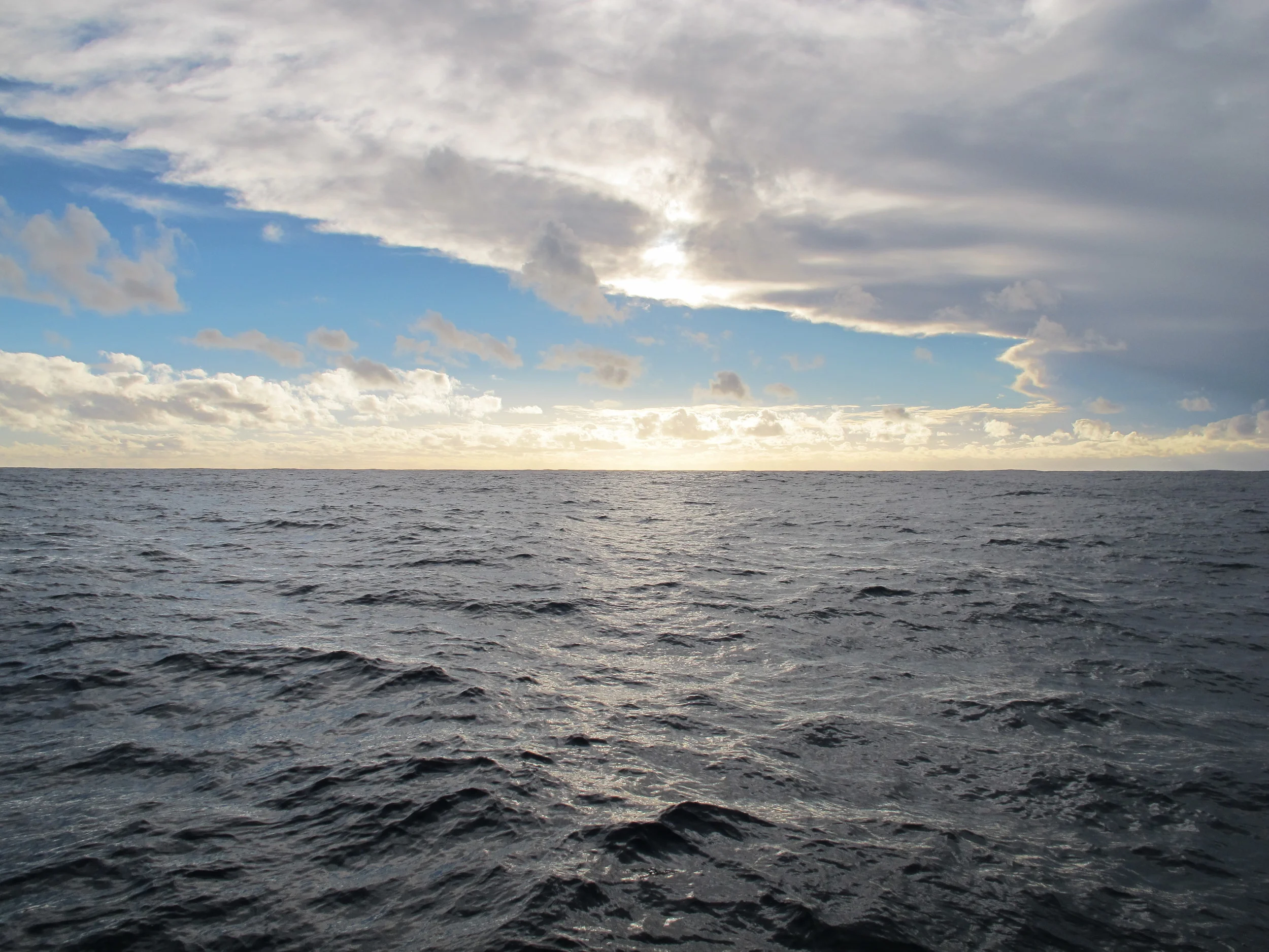 Photo courtesy IFAW project on Pelican1