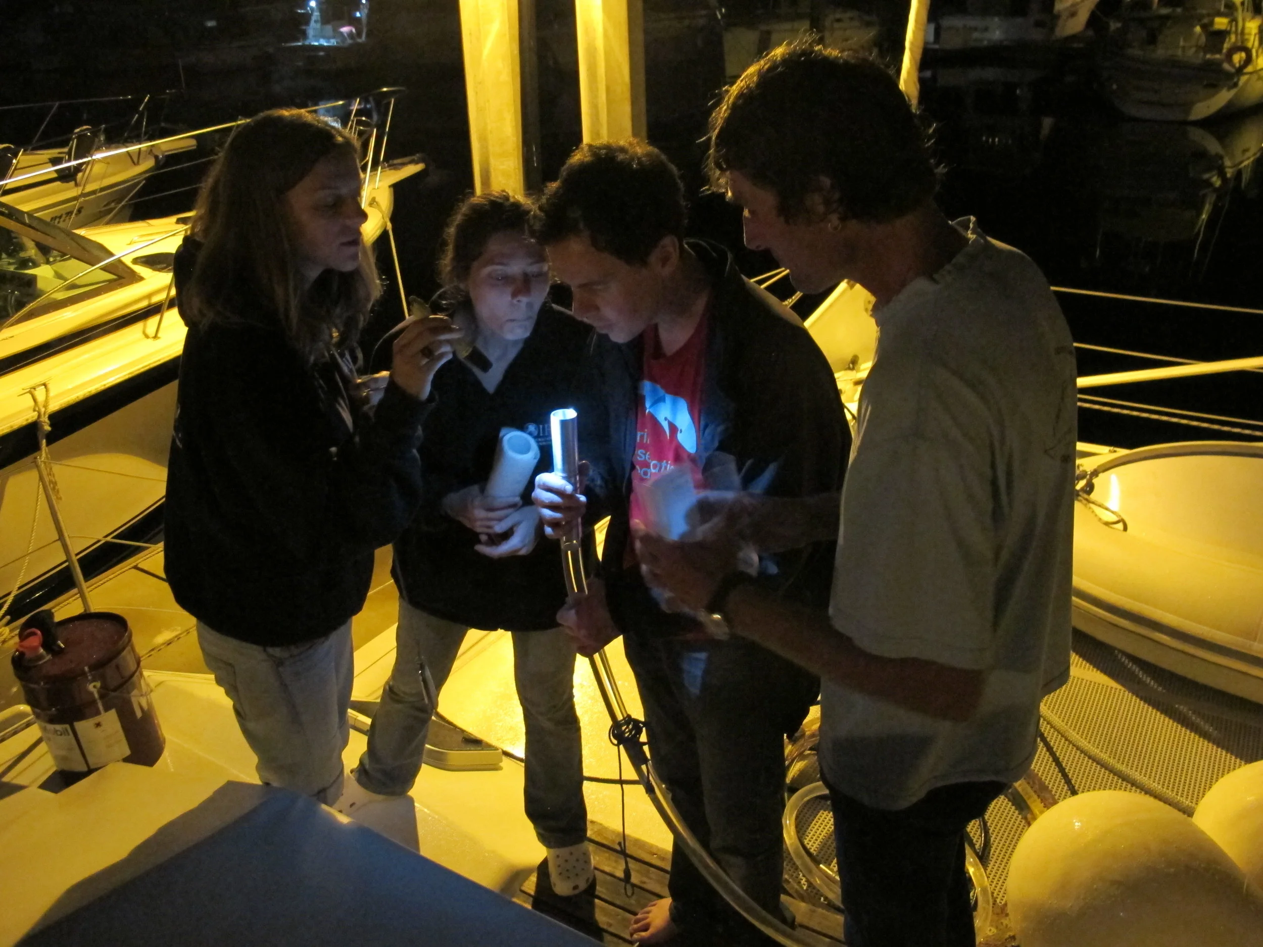 Checking the hydro-accoustic equipment for listening to whales duriong the IFAW expedition
