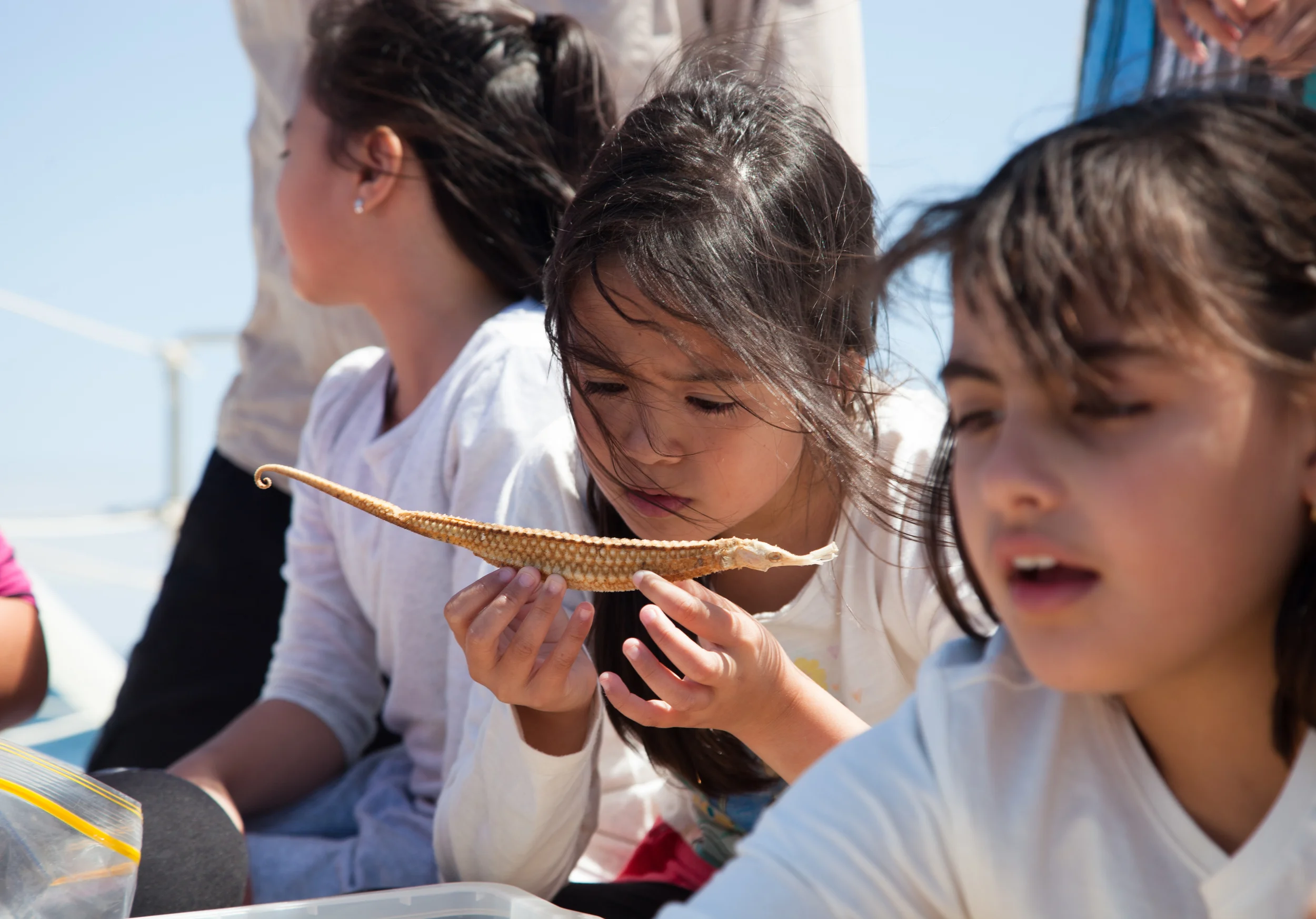 Hands on learning on Pelican1's trampoline. Grade 4 students from Mother of God Primary school getting a lesson in marine biology with Harry Breidahl and a pipefish.
