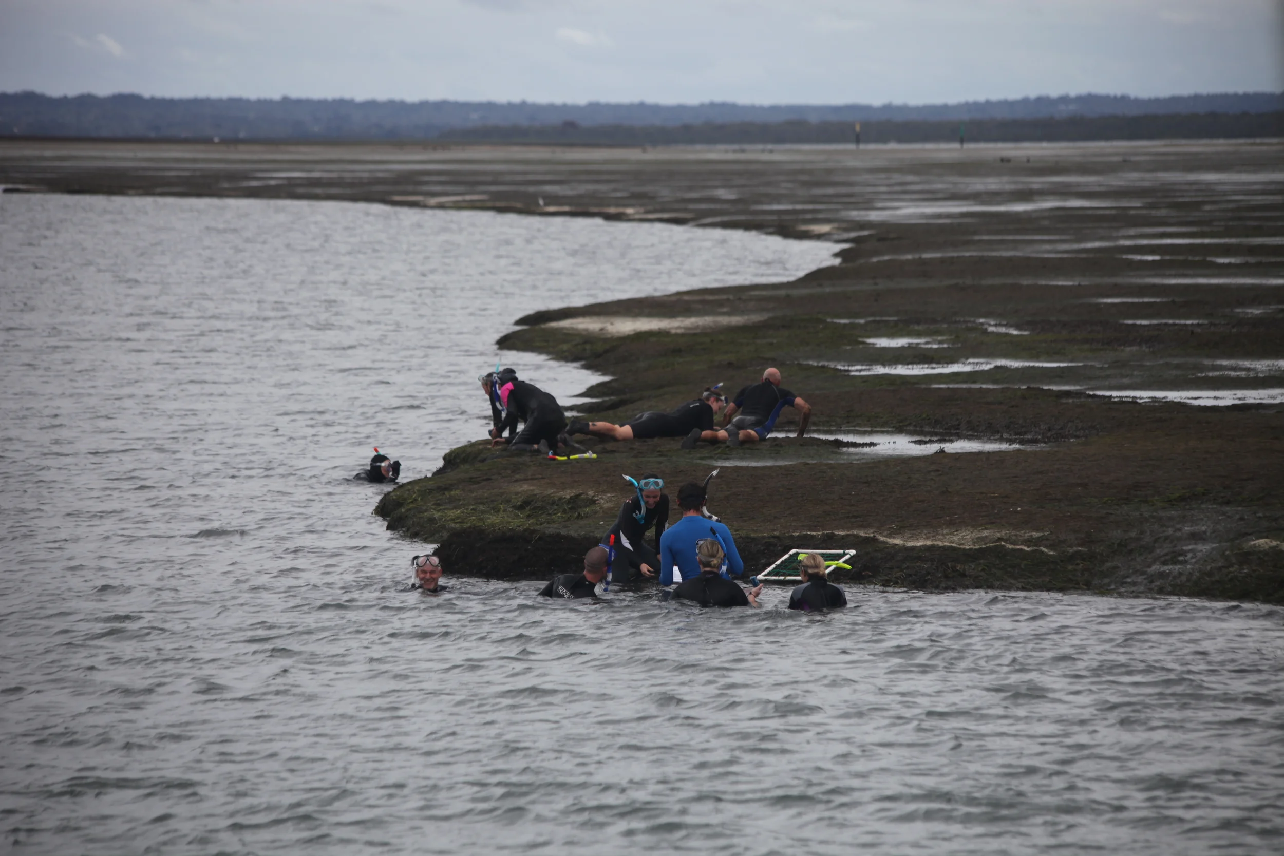 Citizen science in action