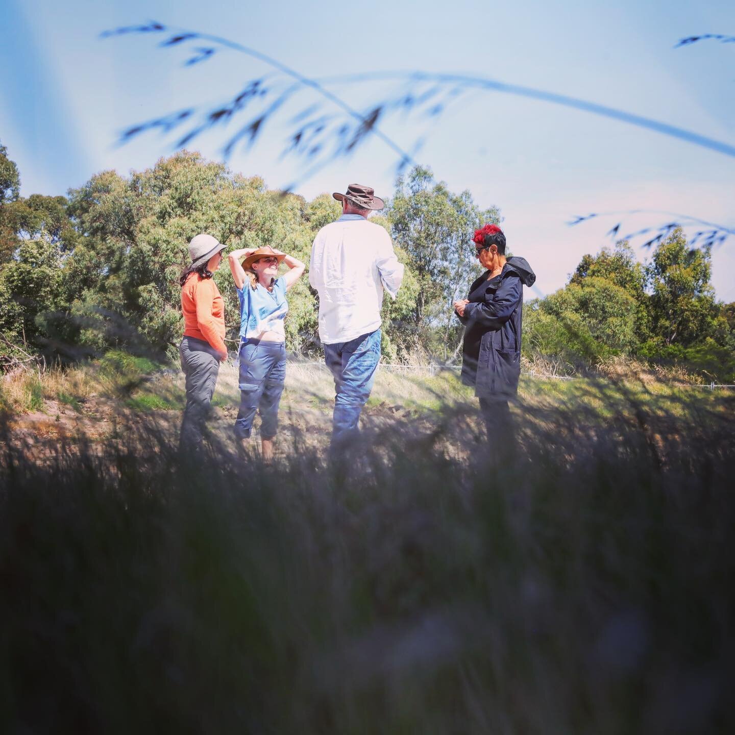 Boonwurrung TO N&rsquo;arwee&rsquo;t Carolyn Briggs discussing the wetlands Chain of Ponds development in Elsternwick Nature Park. It&rsquo;s all systems go for the EPA committee this year as the Nature Park plans are coming to life. Carolyn&rsquo;s 