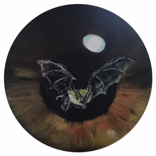 Pekapeka - New Zealand Bat (2017)