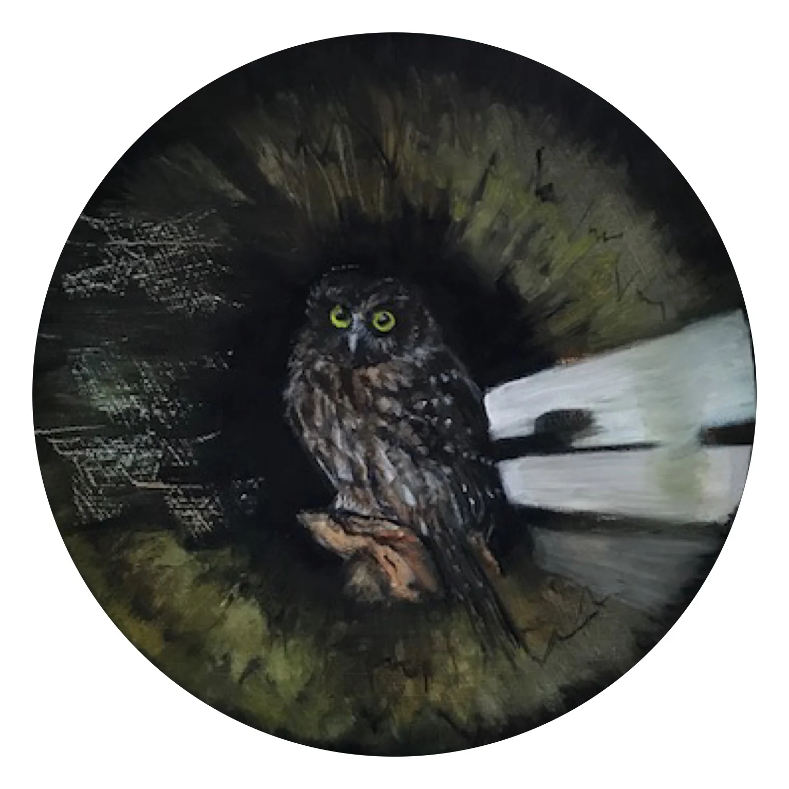 Ruru - Morepork (2017)