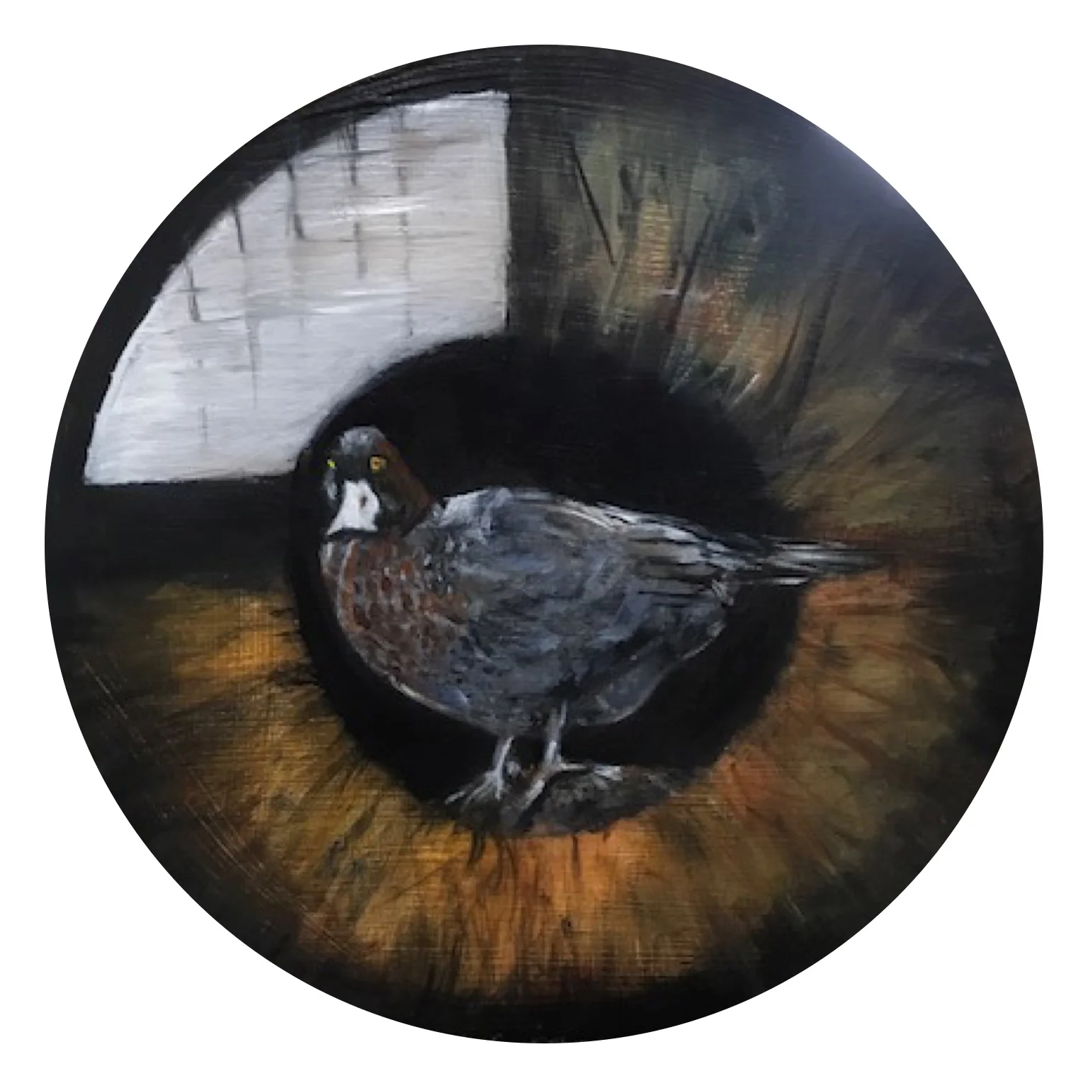 Whio - Blue Duck (2017)