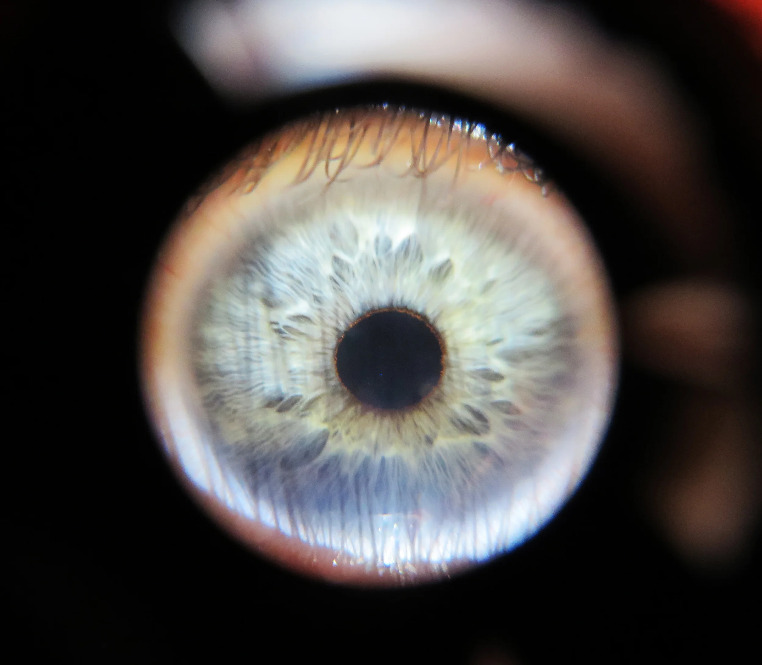 My Eye through a macro lens