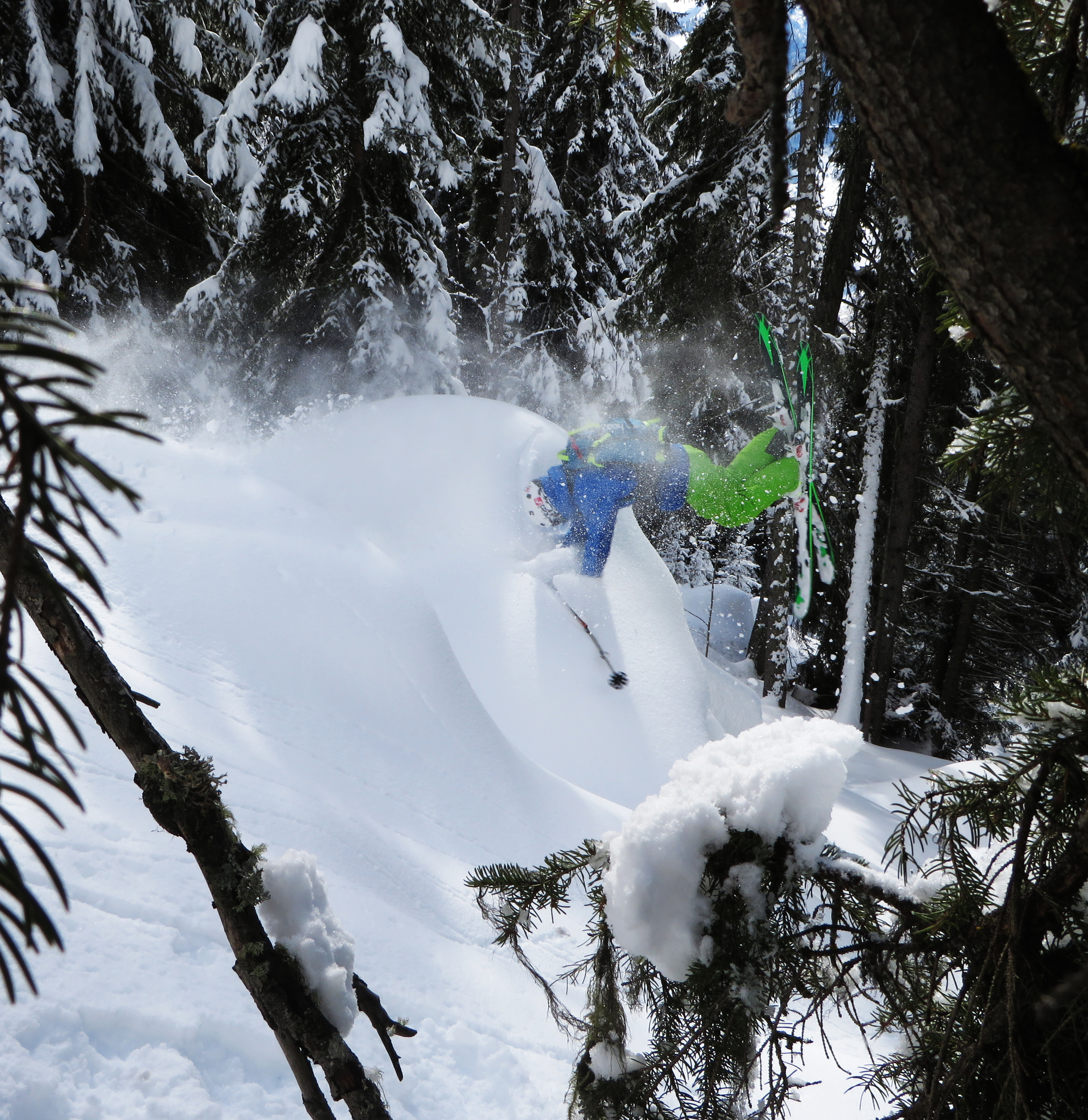 Adventure Ski Hand Drag