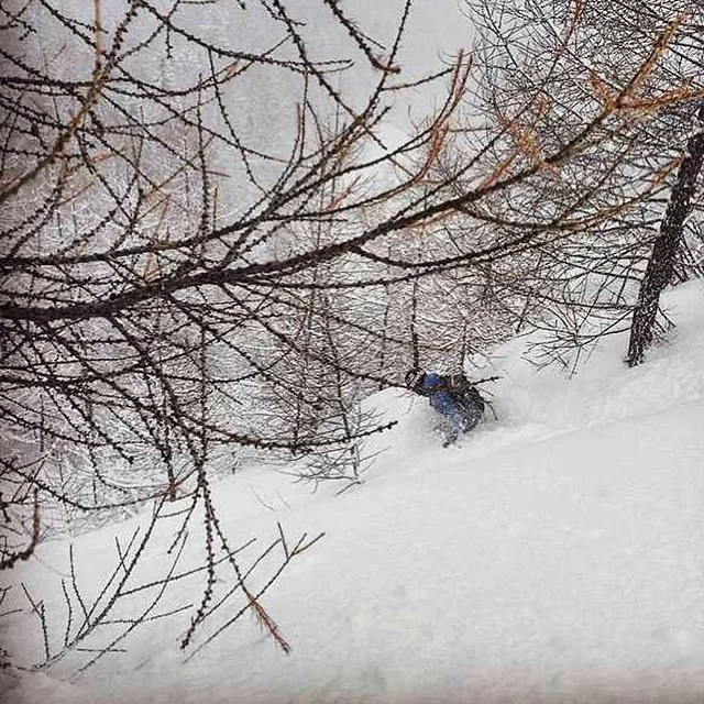 Pow Day at La Thuile in italy
