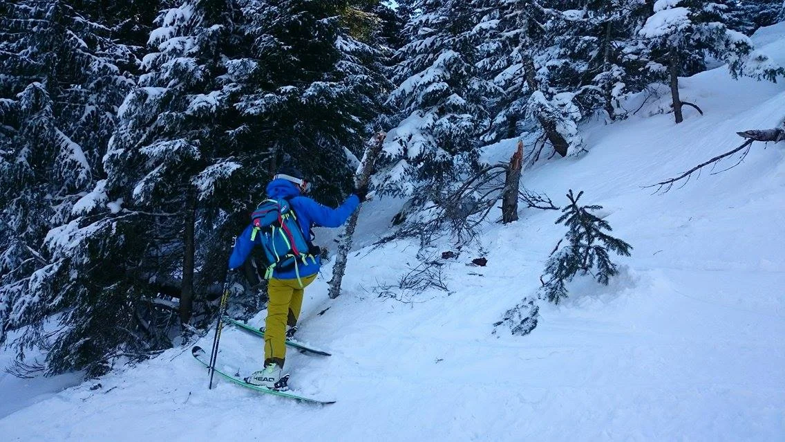 holding the other part of the dead tree I snapped.