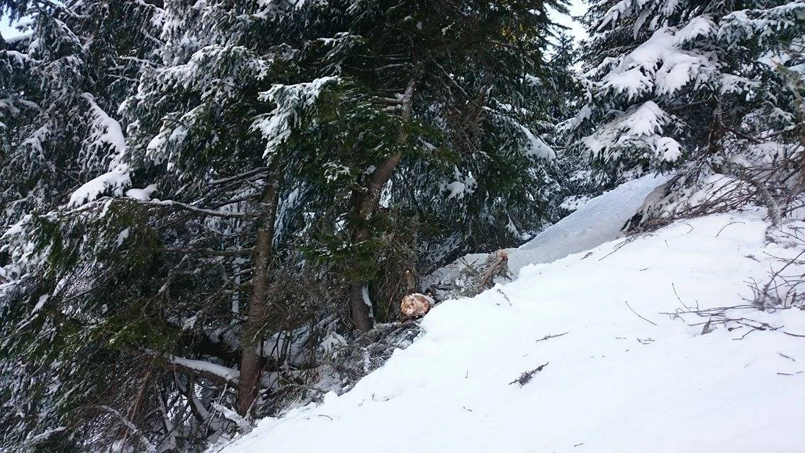 This is where I stopped.&nbsp;