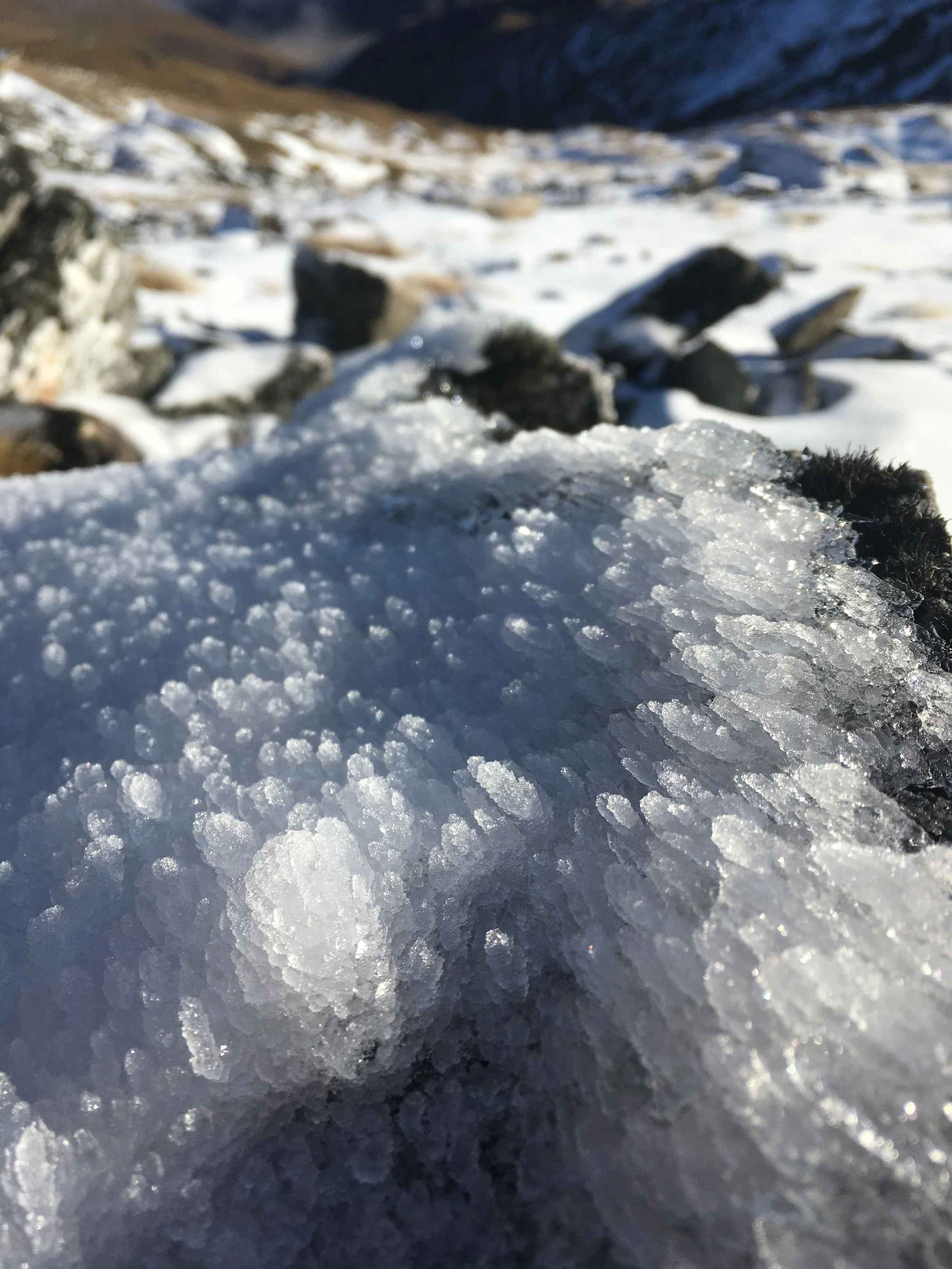 Ice...
