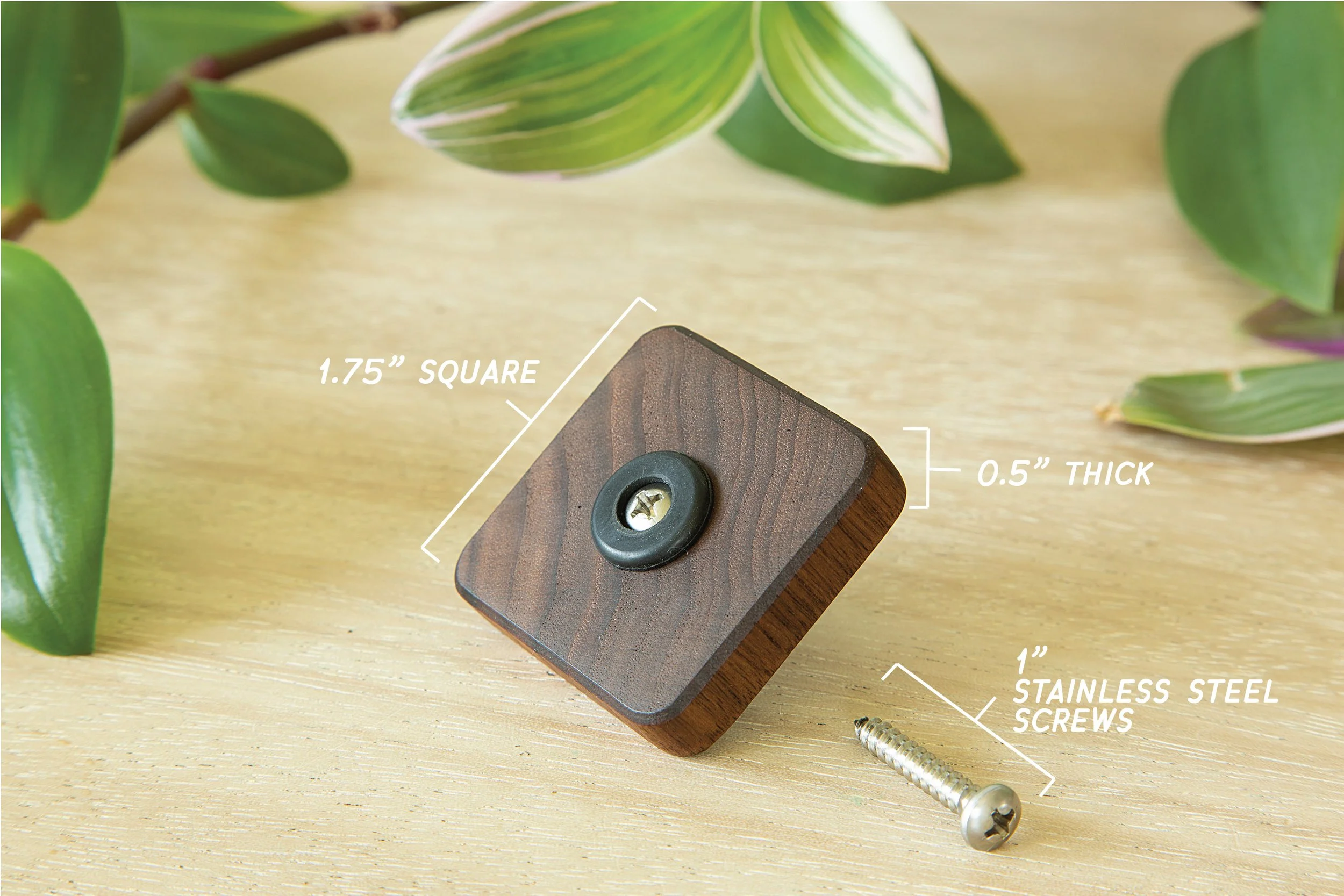 Walnut Feet Measurements.jpg