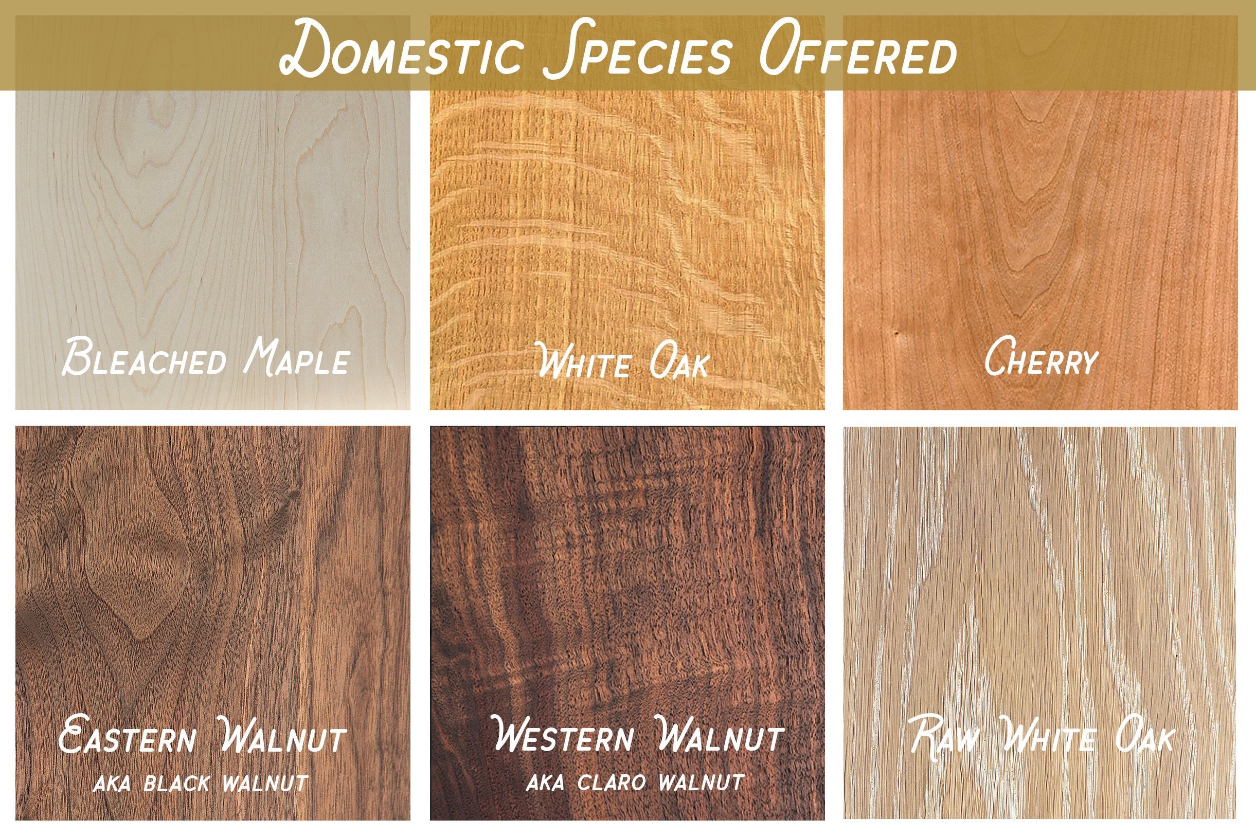 wood-options+2023-01.jpg