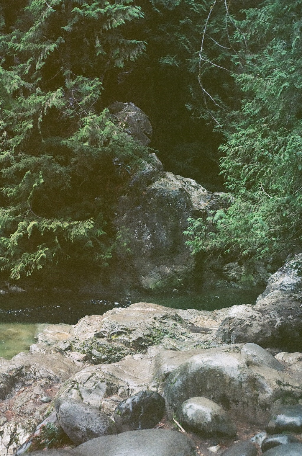 FullSizeRender-5.jpg