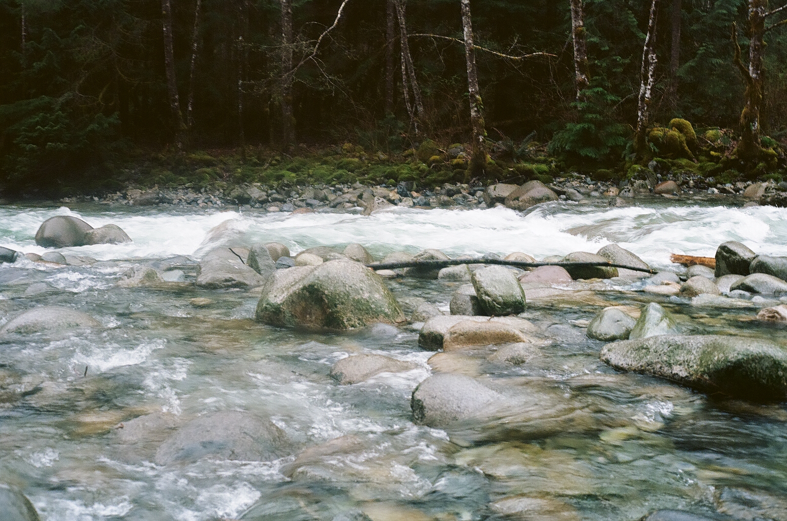 IMG_4419.jpg