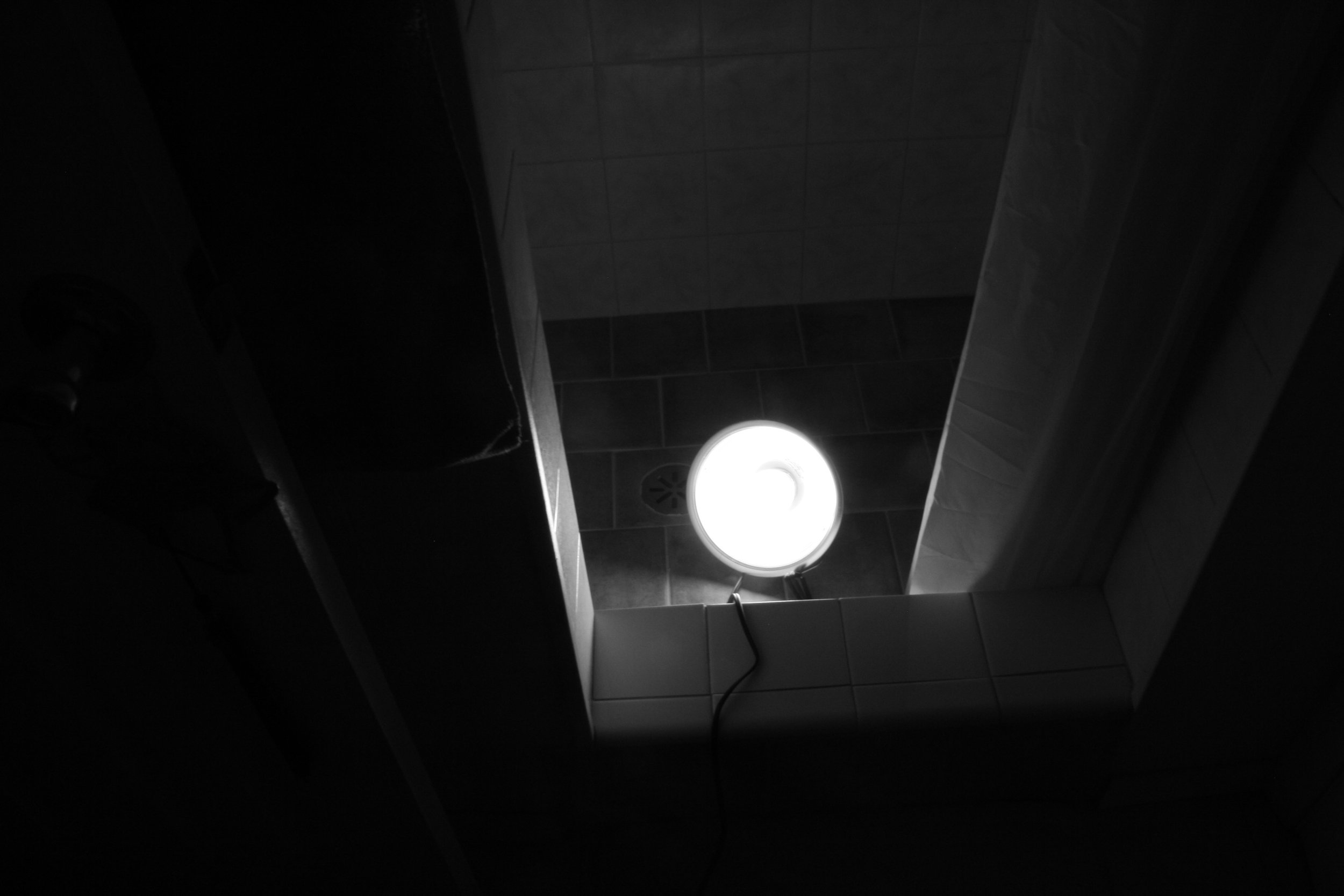 IMG_4838.jpeg