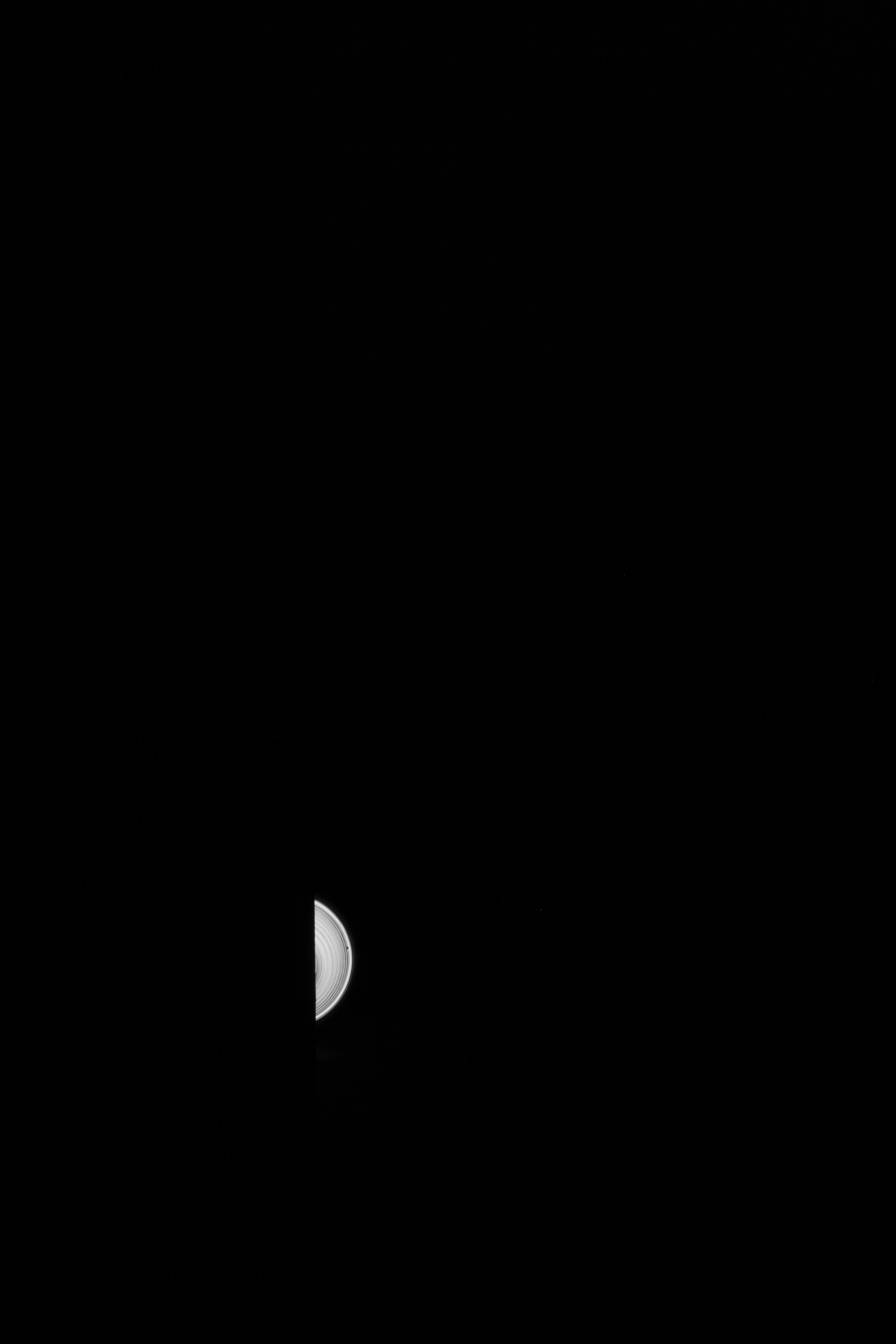 IMG_4856.jpeg